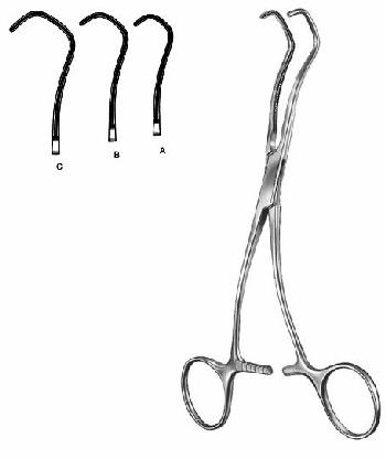 Text